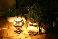 lamp2