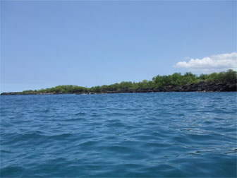 sea Hawaii