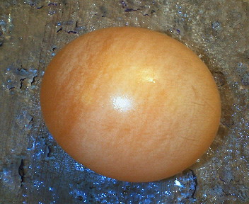 beauty egg