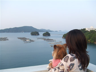 toba